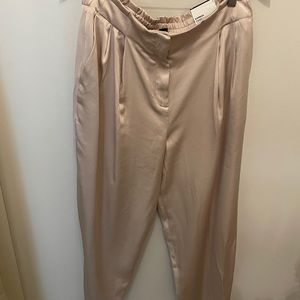 Express Silk like Joggers